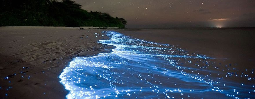 Holbox Bioluminescent water at night time