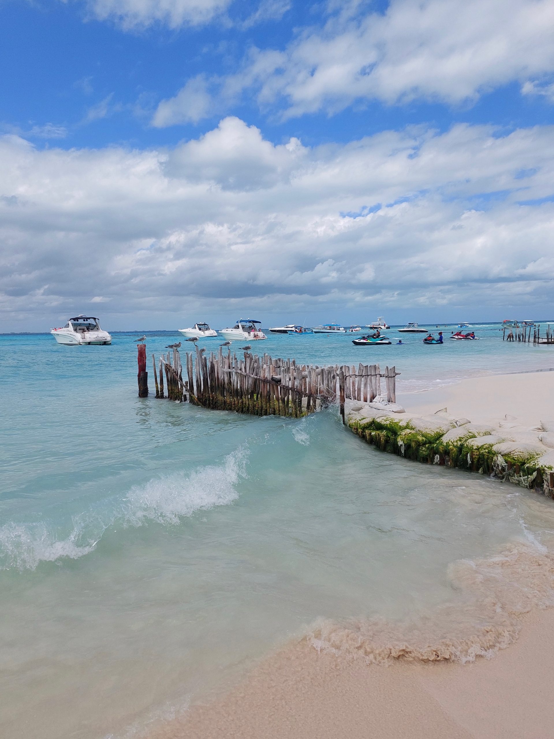 view of the isla mujeres beach with many boats in the water