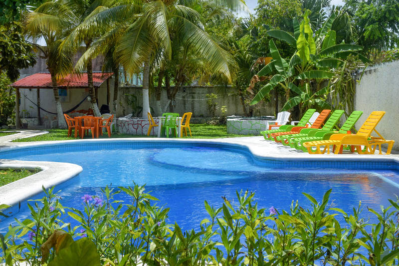 pool at amigos hostel in cozumel with poolside lounge chairs and palm trees