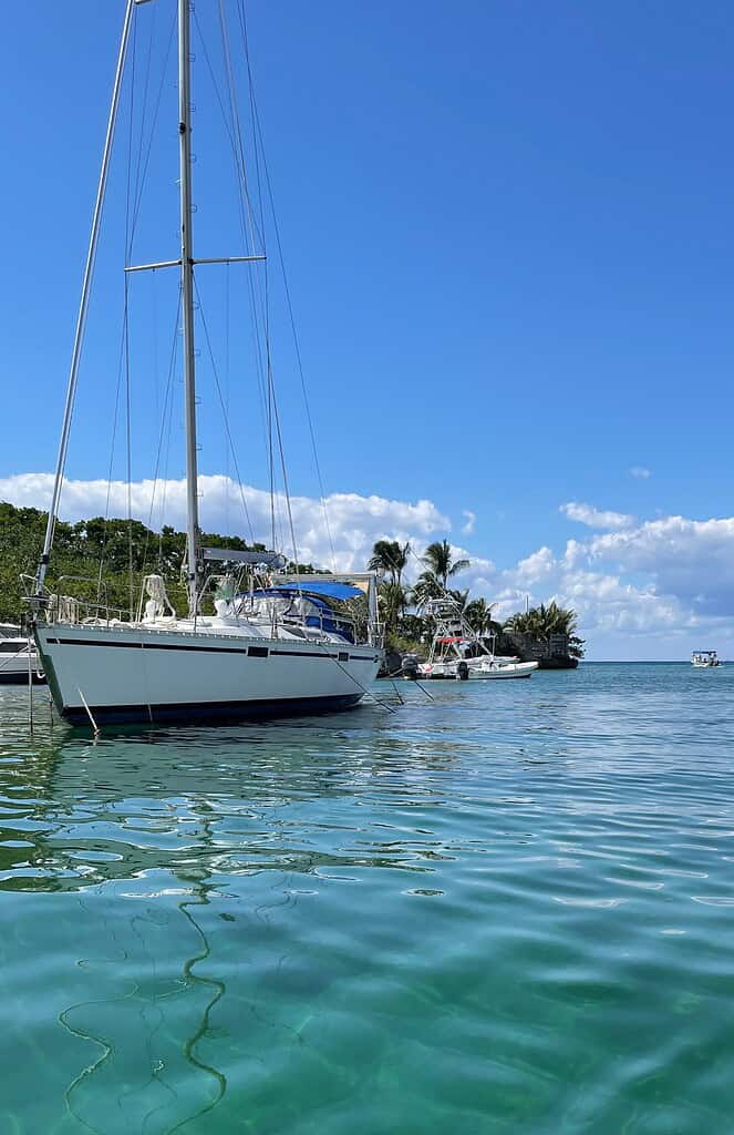 sail boat docked on the water with dense green tropical forest and turquoise blue waters in isla cozumel mexico