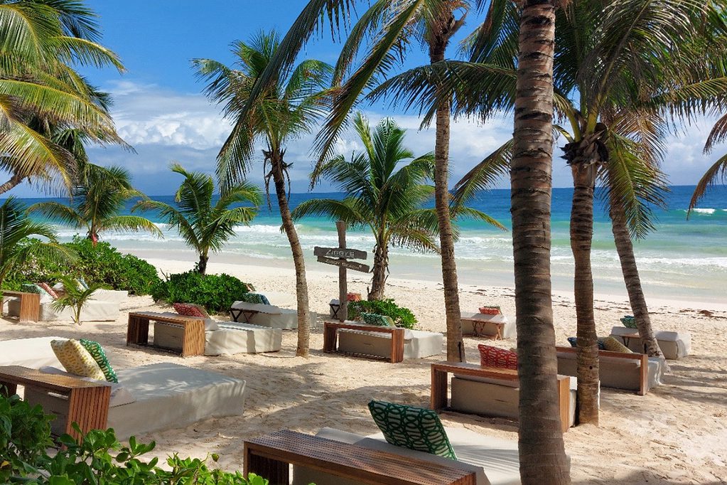 several beach beds and palm trees on the beach shoreline at Ziggys beach club in Tulum