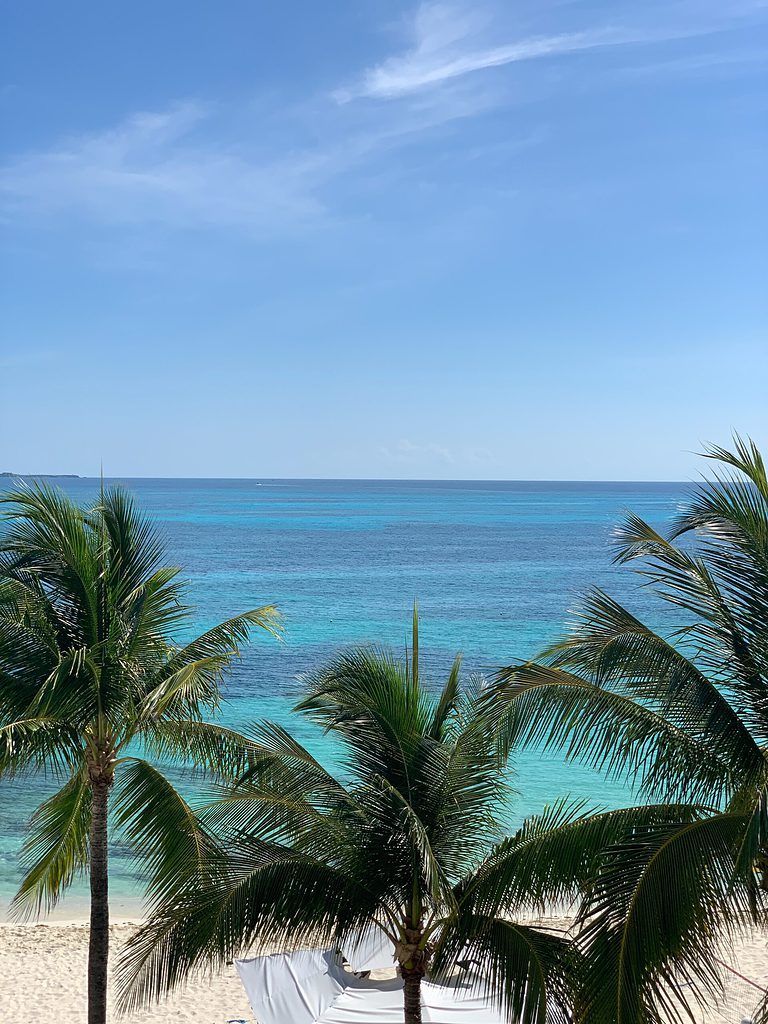 palm trees on the beach and the Caribbean sea in sight showing various shades of turquoise waters in Cancun, Mexico