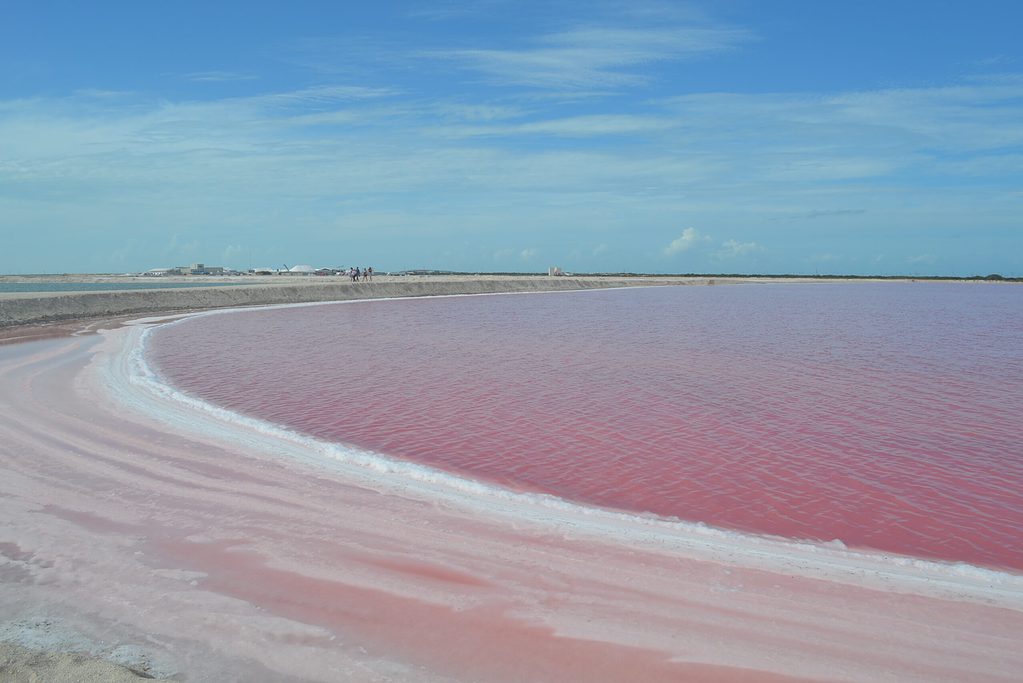water coloured in various pink hues at Las Colaradas in Mexico