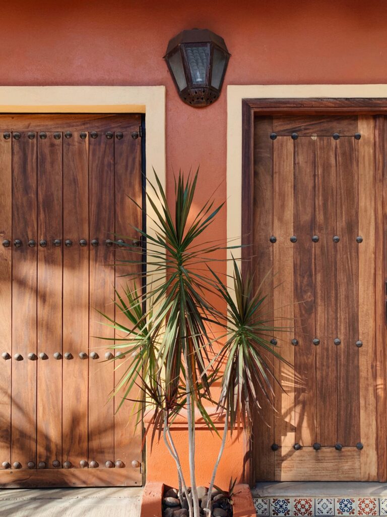 beautiful wooden doors backdrop behind a green plant in Sayulita, Mexico
