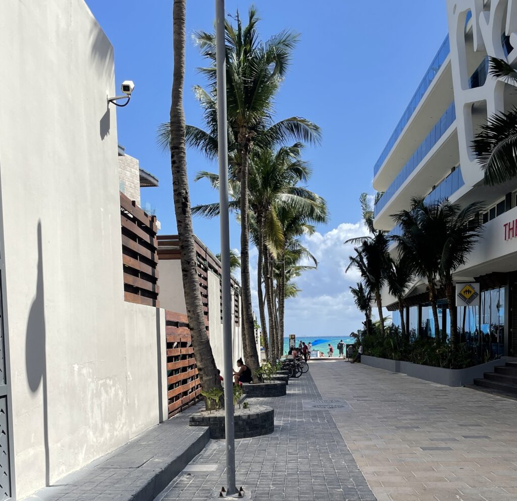 walkway full of palm trees towards Playa Del Carmen main beach, a must visit on your Riviera Maya itinerary 