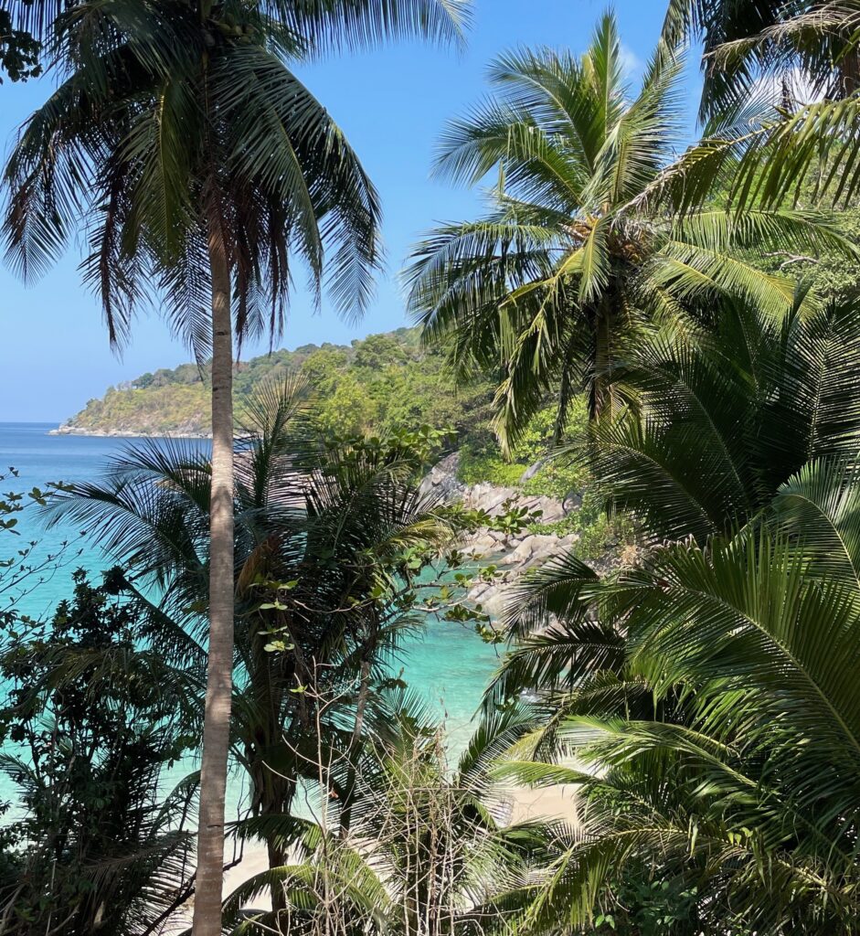 several palm trees with turquoise waters in the background showing Freedom Beach in Phuket