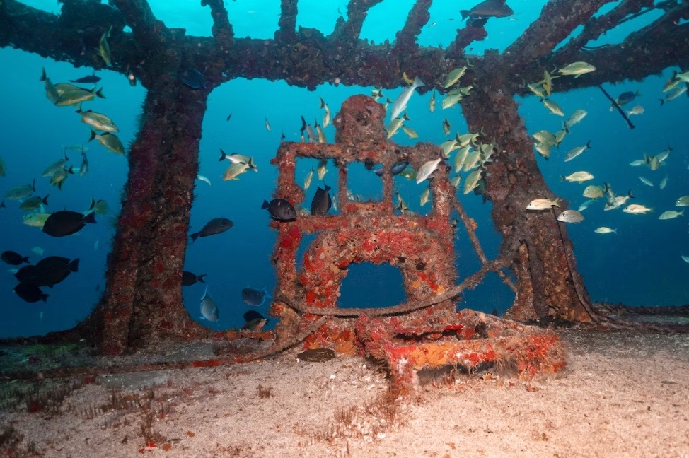 a unique sculpture under water at the Museo Subacuatico de Arte, the under water museum in Isla Mujeres, Mexico