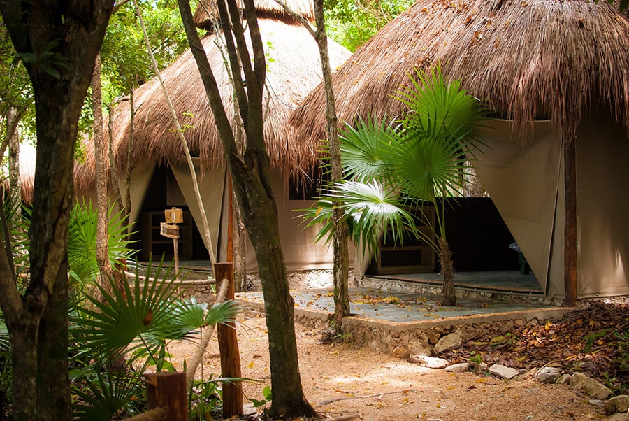 the exterior of two rooms at Akumal Natura Glamping 