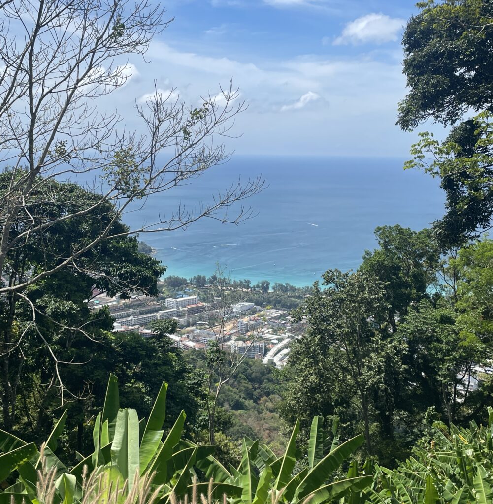 views of condos and hotels, the ocean, and many trees from a Kata Viewpoint in Phuket, Thailand