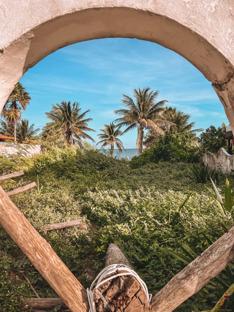 a wooden sculpture among several palm trees and the ocean in the distance in Puerto Morelos, Mexico