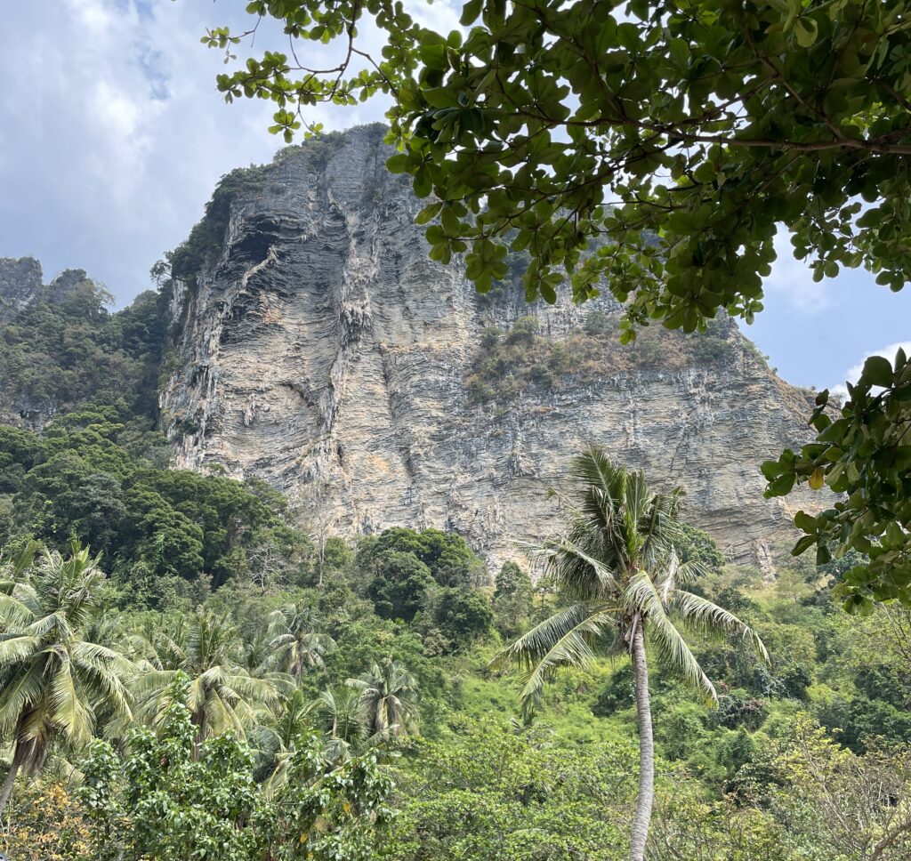 beautiful large limestones surround by forest full of limestones in Krabi, Thailand 