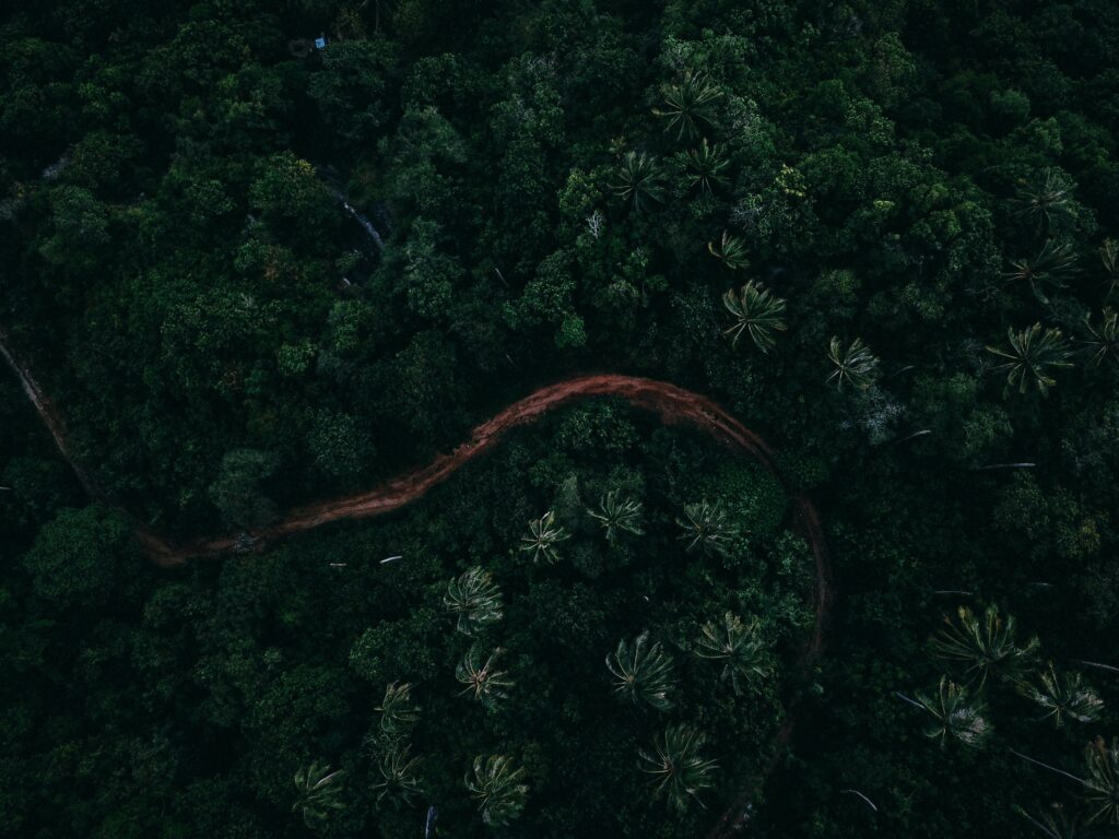 a clear dirt road along the dense jungles in Koh Samui, Thailand 