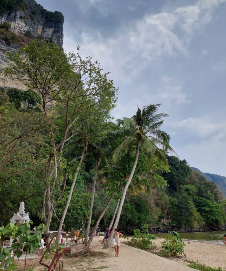 tourist walking around Monkey Trail an area full of wild monkeys and the beach in Ao Nang, Krabi, Thailand / how to get from Phuket Airport to Ao Nang