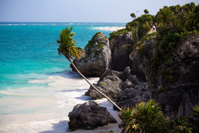 beautiful shades of turquoise waters in the Caribbean Sea, high cliffs, and palm trees in the Riviera Maya in November at Tulum Beach in Mexico