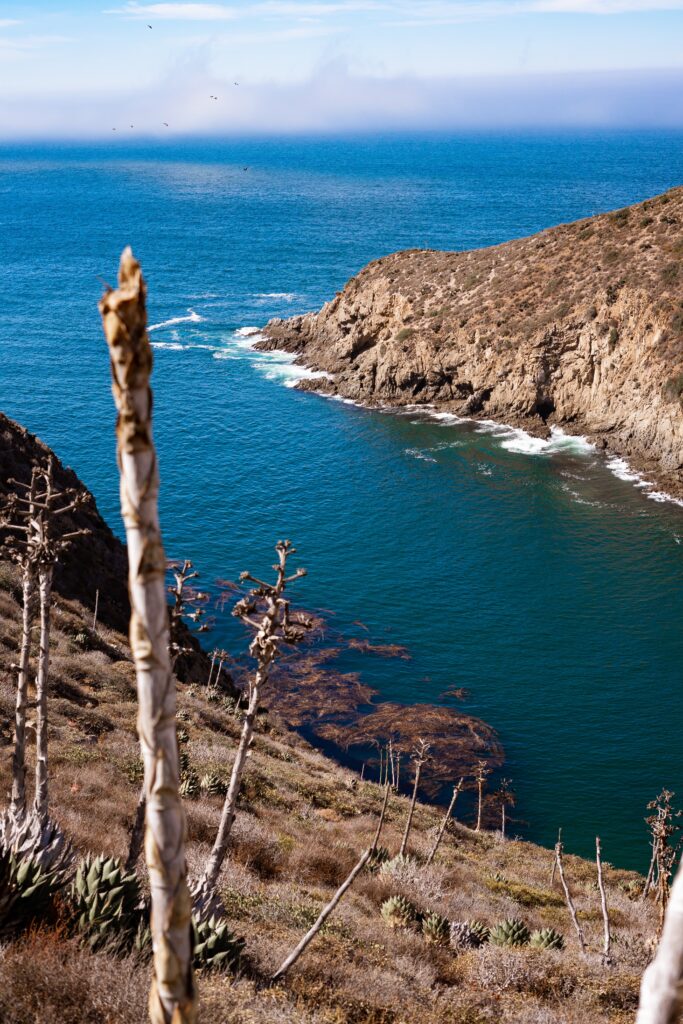 views of the stunning coastline in Ensenada, Mexico from a high up hill 