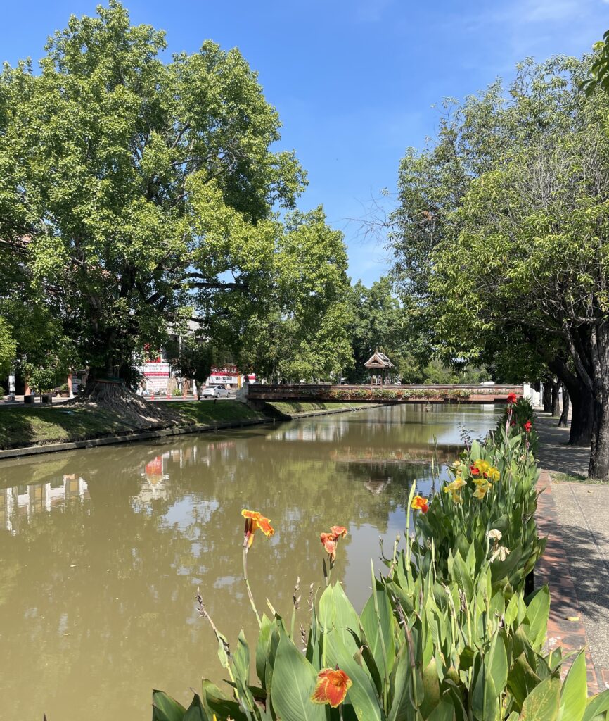 views of the Chiang Mai river, surrounded by trees and floral flowers
