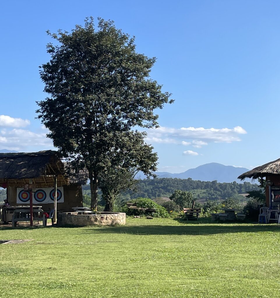plentiful grass amongst a beautiful tree in the countryside of Pai 