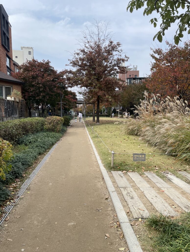 pathway in Gyeongui Line Forest Park in Hongdae with trees, grass, and people relaxing
