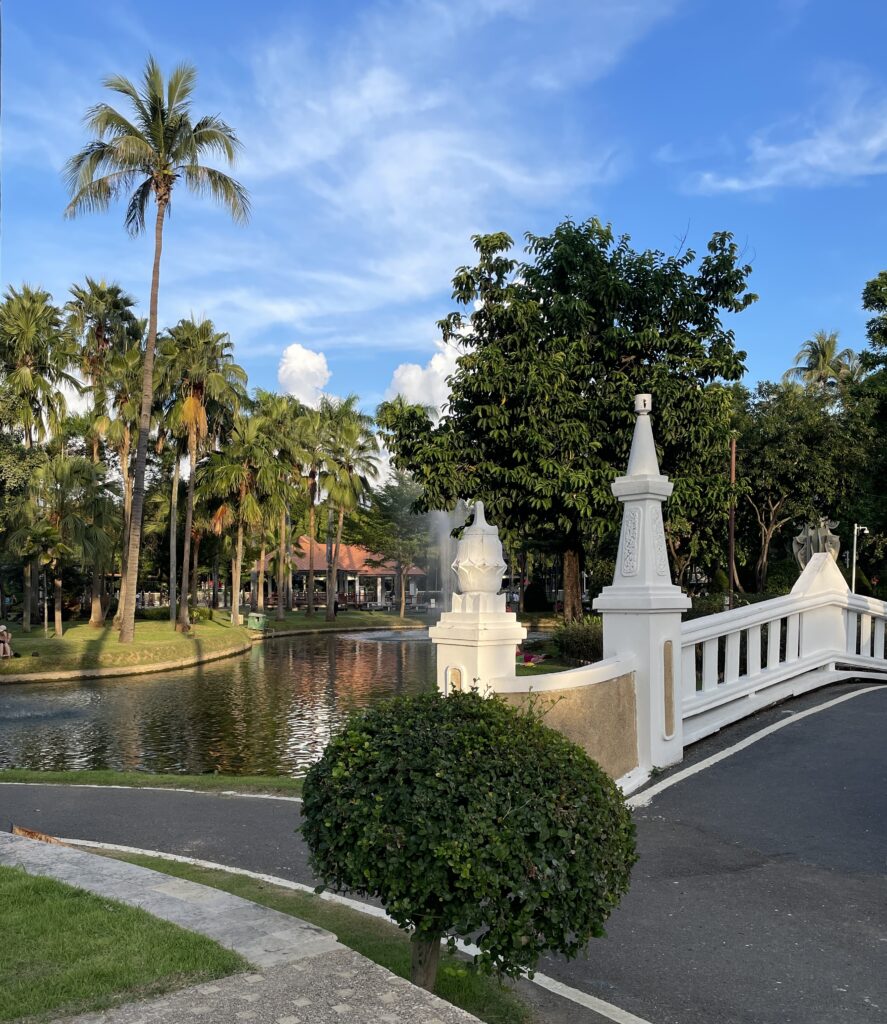several stunning palm trees around a bond and a picturesque bridge at the Nong Buak Haad Park in Chiang Mai, Thailand