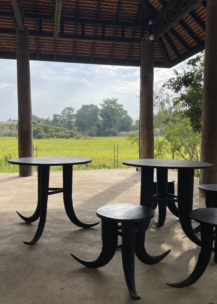 seats and tables sitting amongst several rice fields ahead 