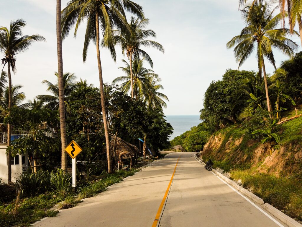 a charming empty road amongst the jungles and palm trees of Koh Tao, Thailand