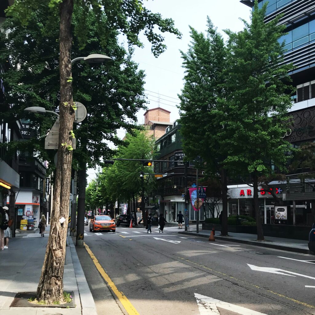 a beautiful street full of trees and buildings in the Gangnam area in Seoul, Korea 
