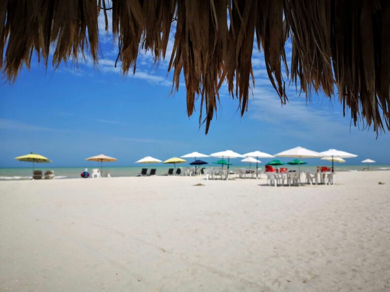tourists and locals sunbathing on the beach in Progreso, Mexico