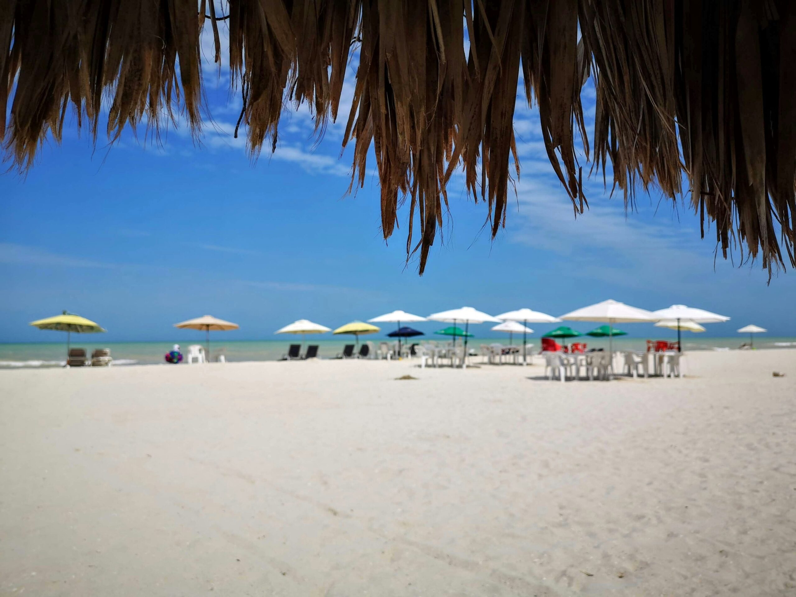 tourists and locals sunbathing on the beach in Progreso, Mexico