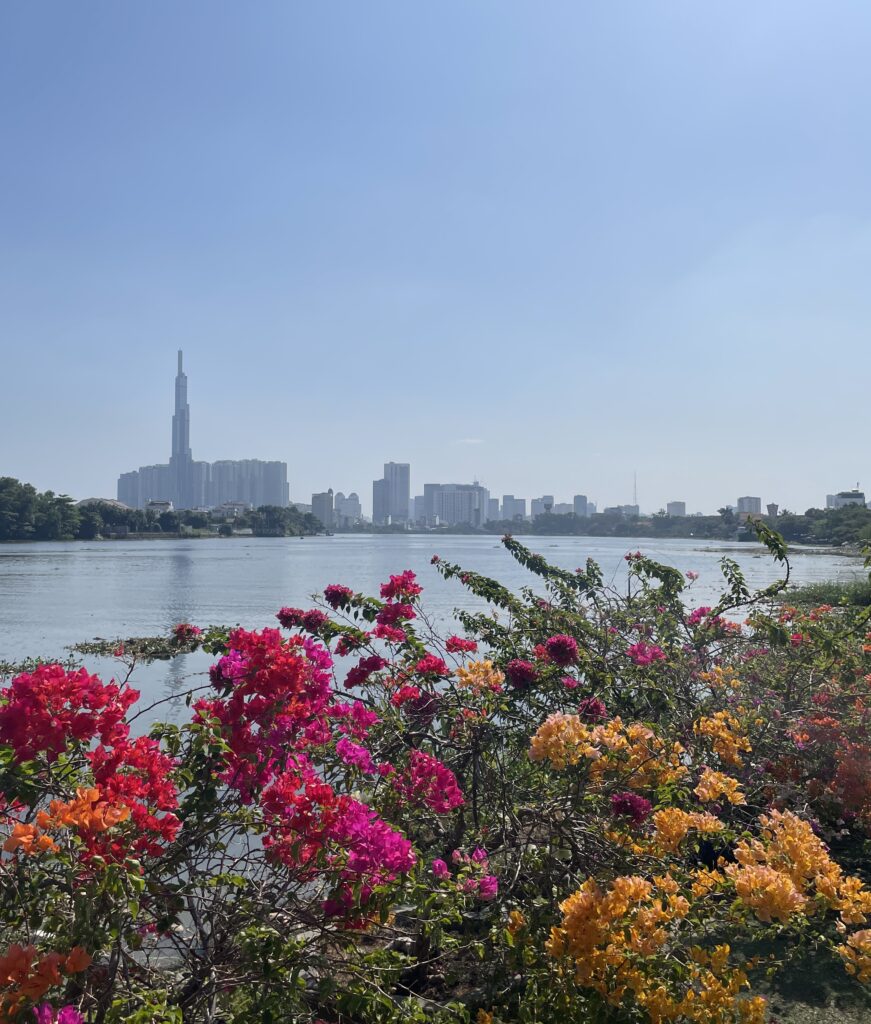 several vibrant colourful flowers riverside with plenty of skyscrapers in the distance in Ho Chi Minh City, Vietnam