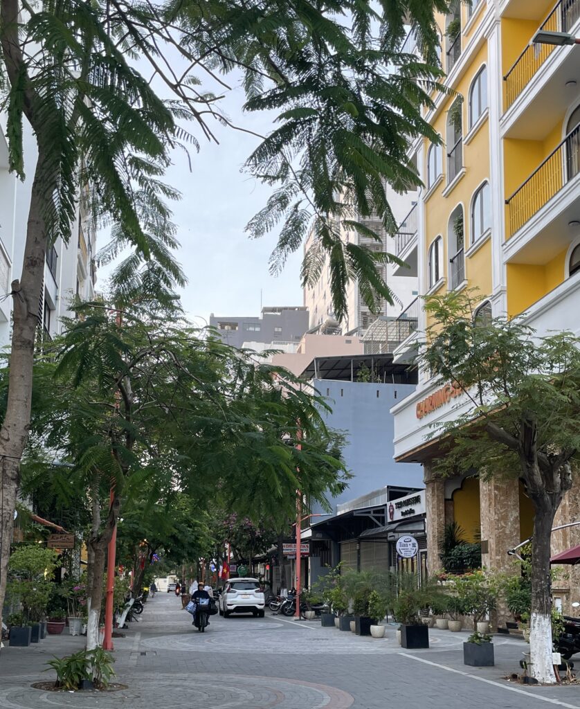 charming cobblestone street in Au Thuong area in Da Nang, Vietnam