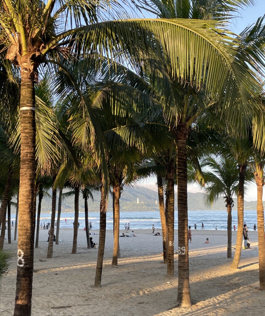 beach sunset hour da nang