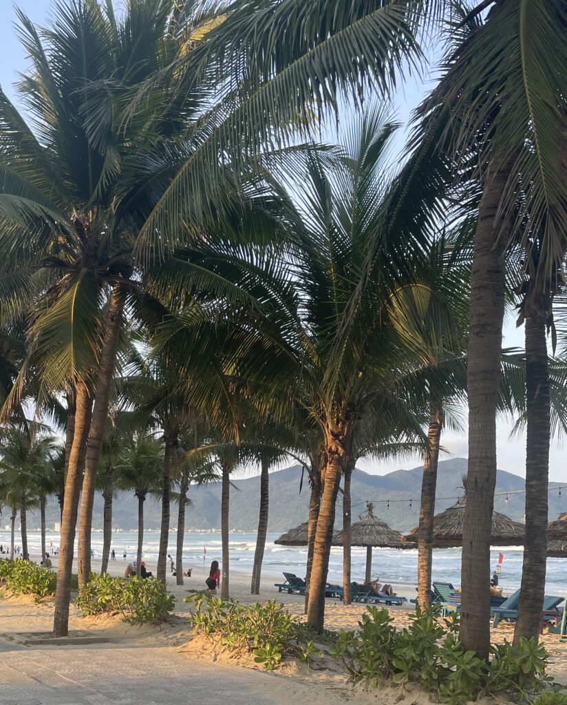 evening beach da nang