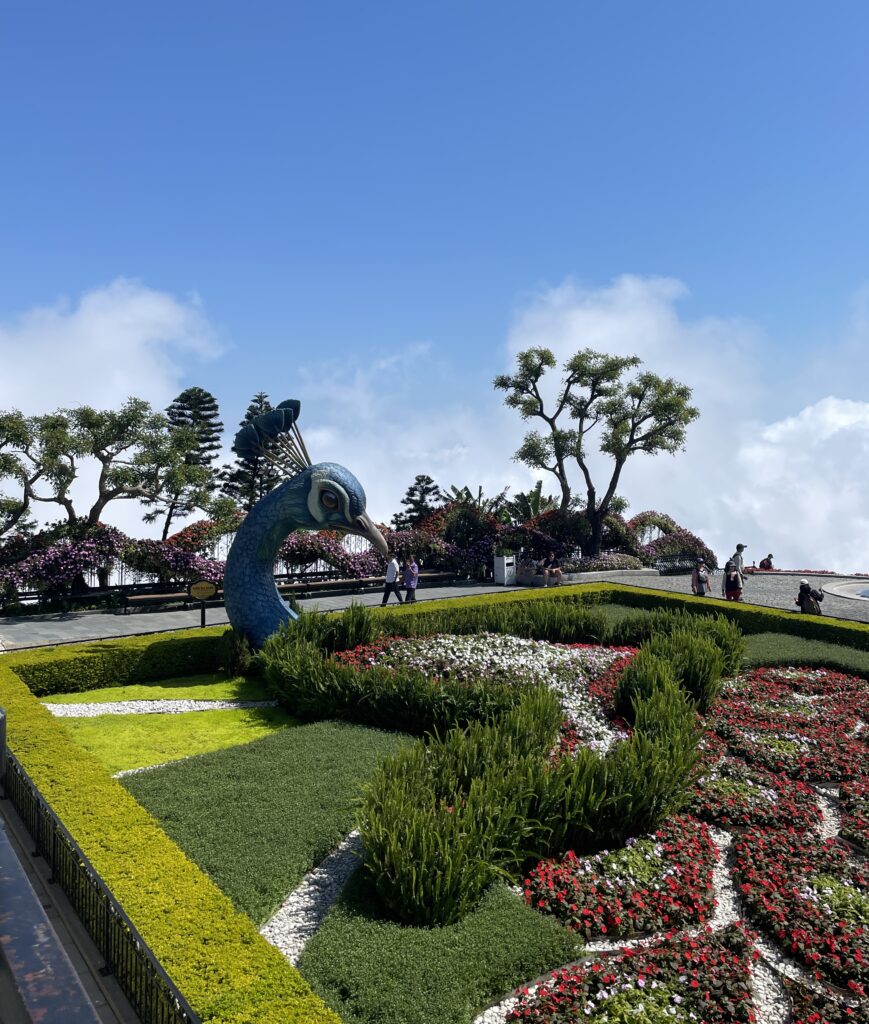 a wide array of flowers at the garden area in the Ba Na Hills