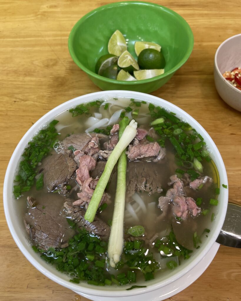 fresh bowl of pho with spring onions