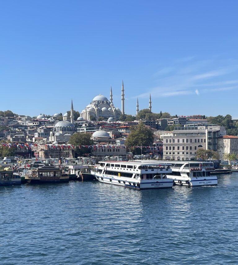 a mosque and boats docked in Istanbul