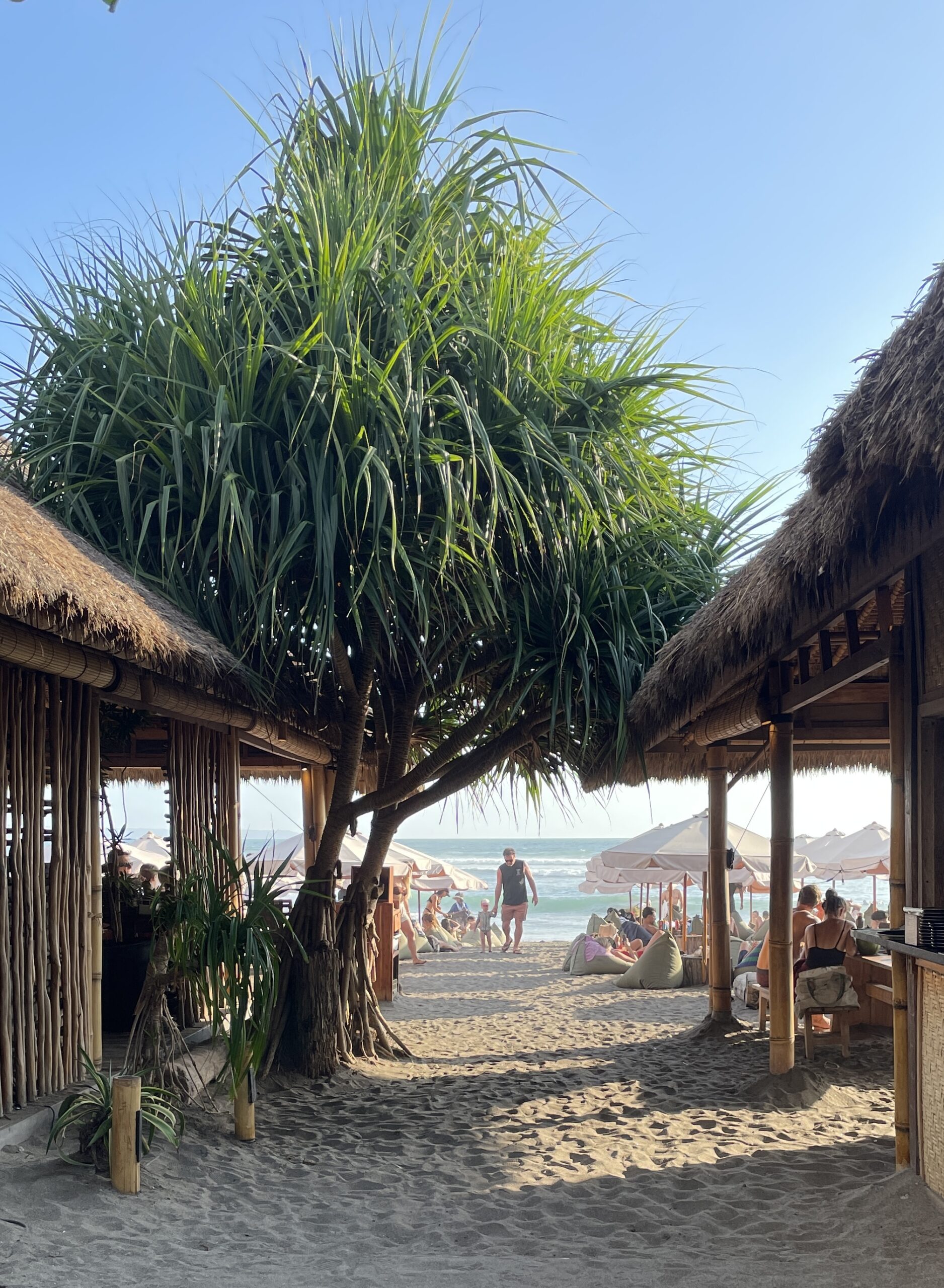 Golden sunset over a beach in Bali with palm trees and waves, perfect scene for a tropical travel guide.