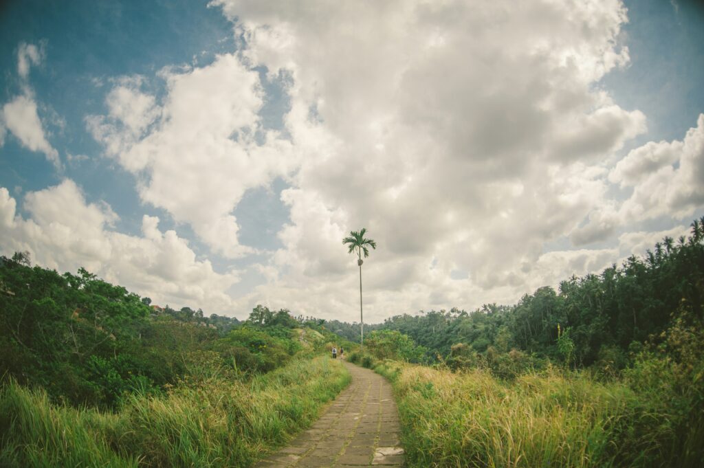 Scenic daytime view of the Campuhan Ridge Walk in Ubud, Bali, with lush green hills and walking path.