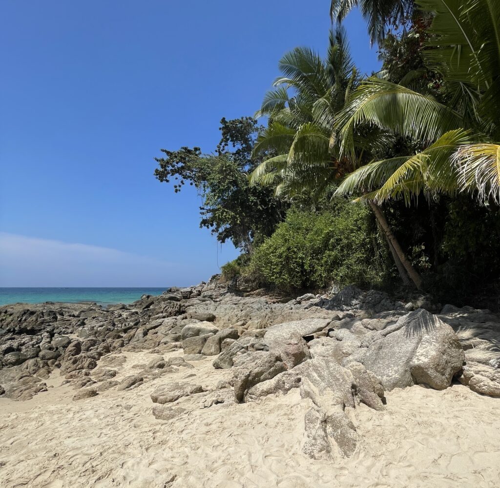 Surin Beach in Phuket with palm trees and clear skies, showing why Phuket is a popular but sometimes pricey destination