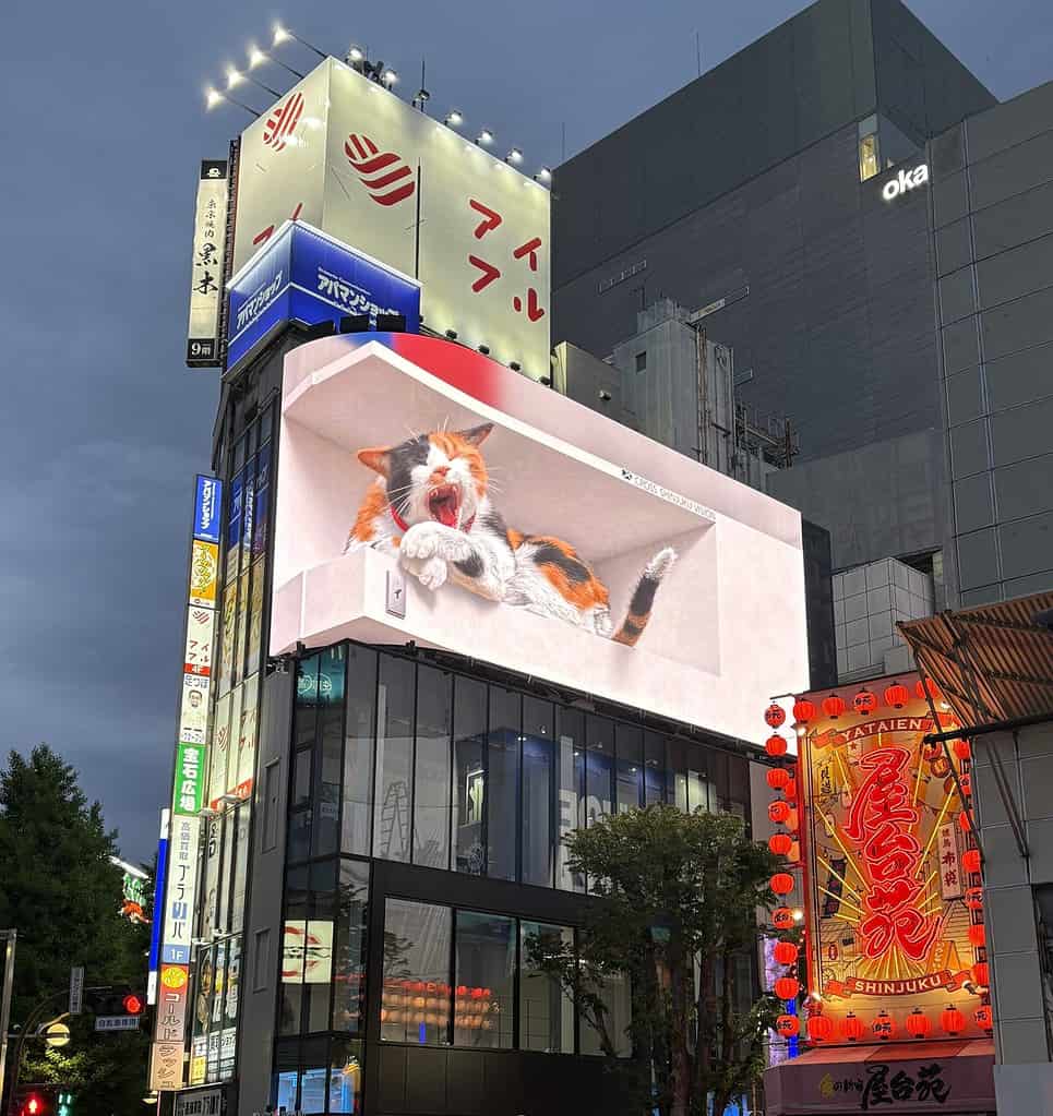 3D cat yawning on the iconic digital billboard in Shinjuku, one of the liveliest neighborhoods to stay in Tokyo
