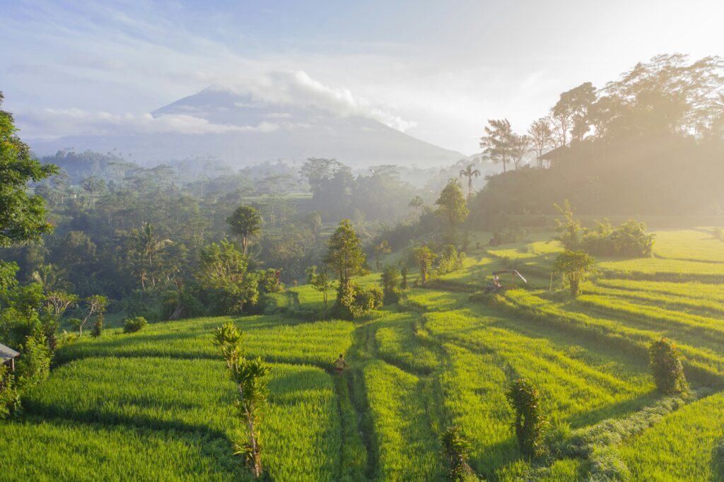 Lush green rice terraces and tropical vegetation in Sidemen, Bali’s countryside