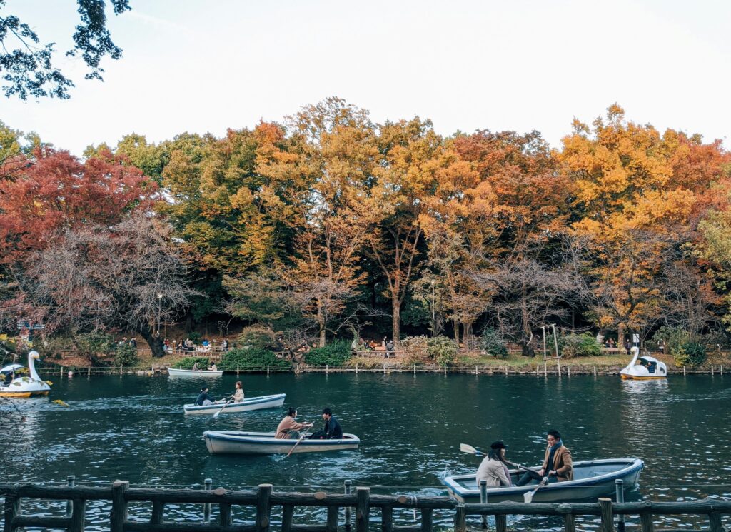 Couples rowing boats along a river surrounded by colorful autumn foliage in Tokyo