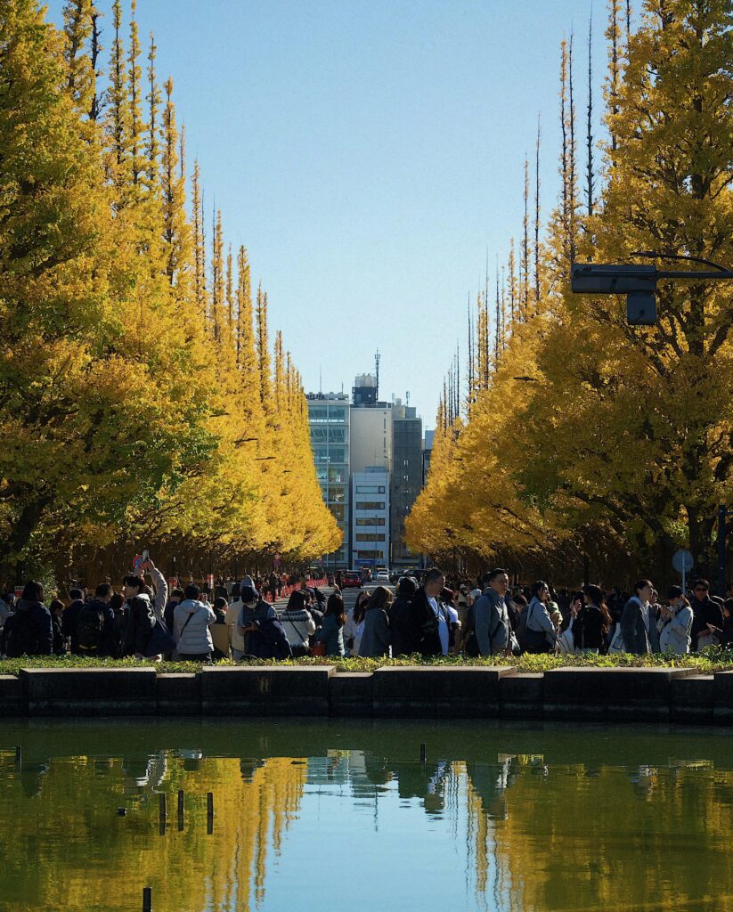 Tourists and locals walking under bright yellow autumn foliage in Tokyo during fall season