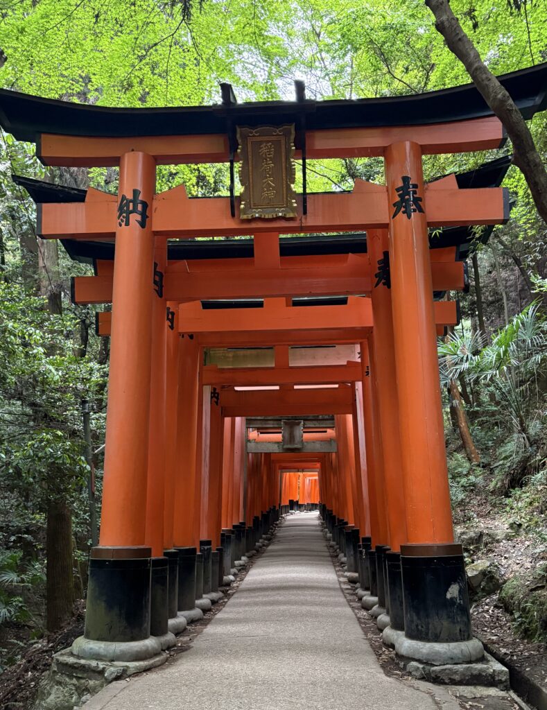 Serene early morning view of the Fushimi Inari red torii gate walkway in Kyoto, surrounded by lush greenery.