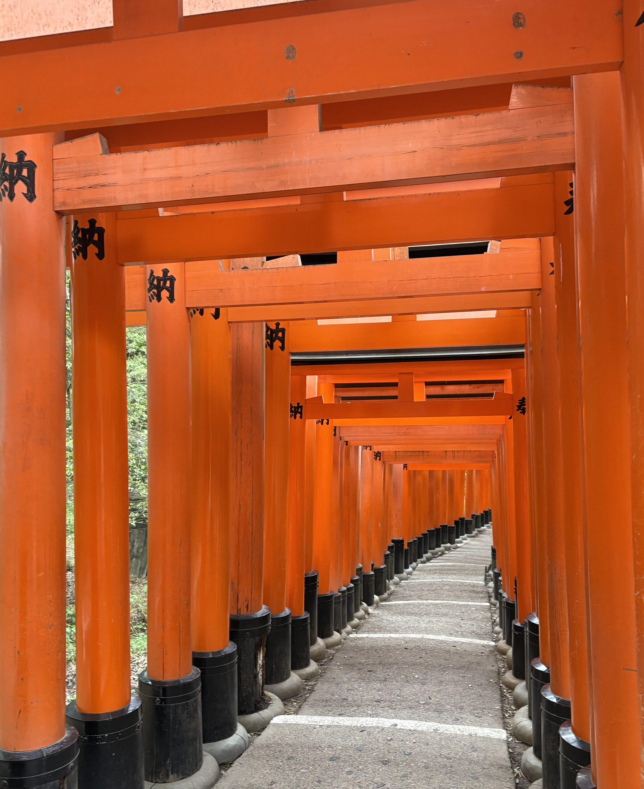 Red torii gate pathway at Fushimi Inari Shrine in Kyoto, Japan, a must-visit cultural landmark