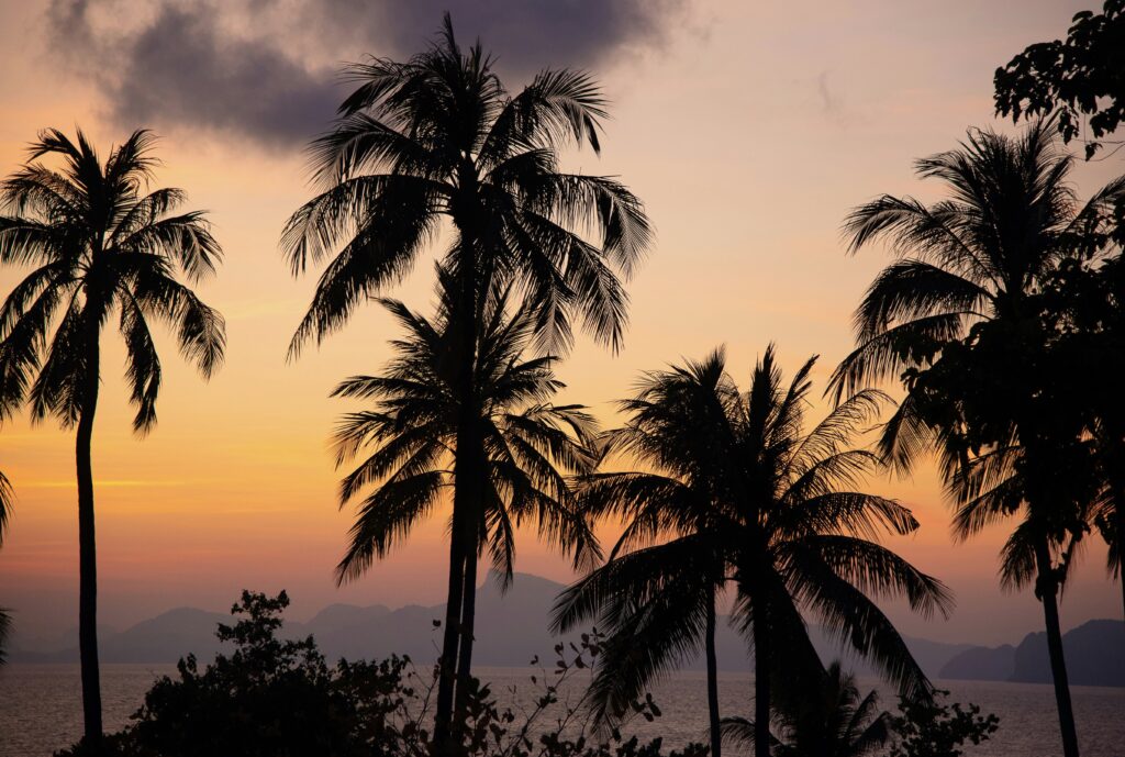 Vibrant sunset with palm trees, ocean, and distant islands seen from a viewpoint on Koh Yao Yai, Thailand
