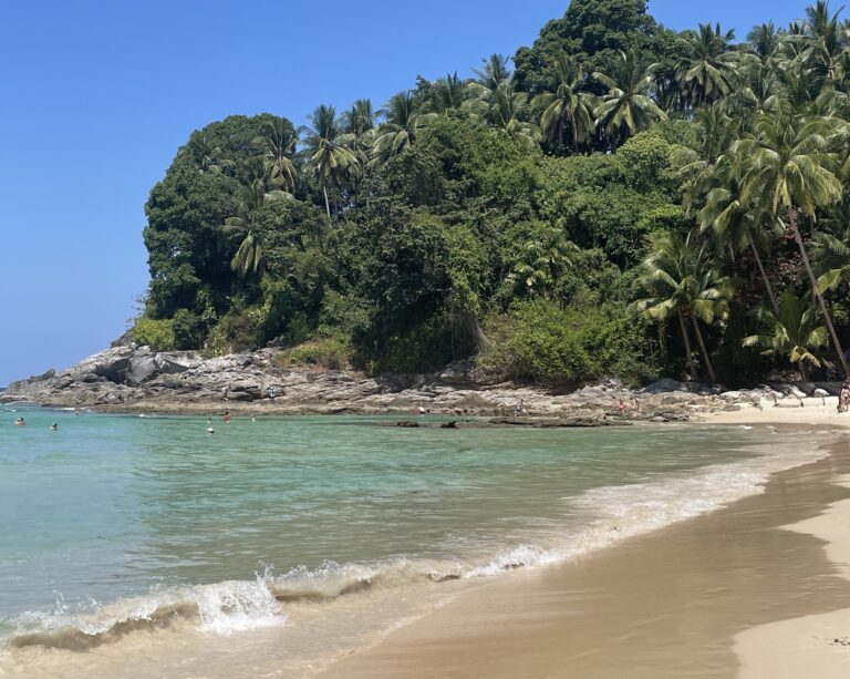 Scenic beach in Phuket with calm blue waves and palm trees on a clear sunny day