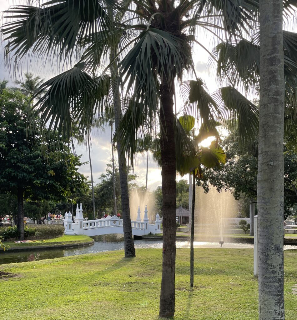 Sunset view of a water fountain with palm trees at Nong Buak Haad Public Park in Chiang Mai, Thailand.
