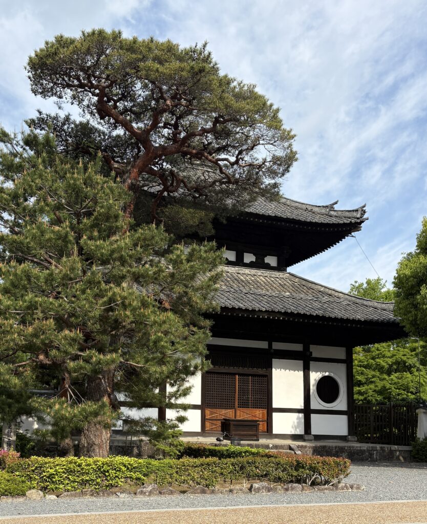 Tofuku-ji Temple in Kyoto on a sunny day, featuring its serene traditional garden with manicured trees and stone pathways.