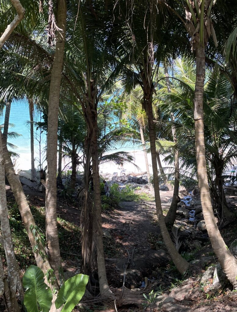Downward trail leading to the secluded right side of Freedom Beach in Phuket, with turquoise waters and lush greenery in the background.