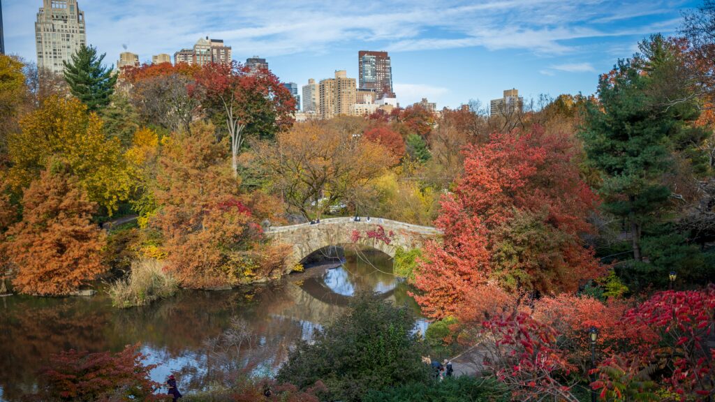 Central Park in New York City during fall with colorful autumn foliage and trees.
